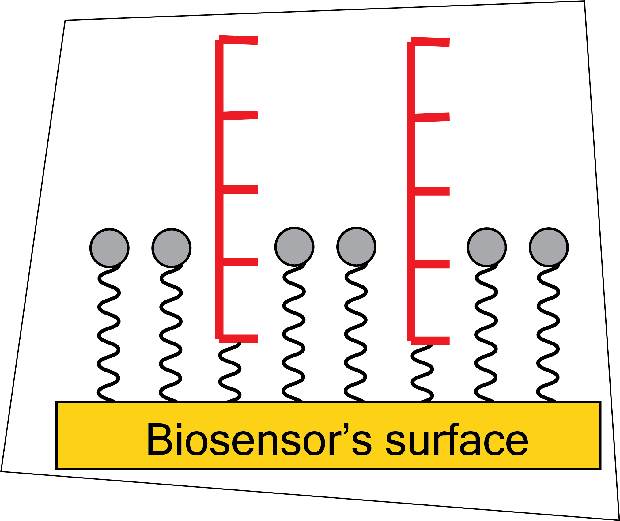 Biosensor's picture